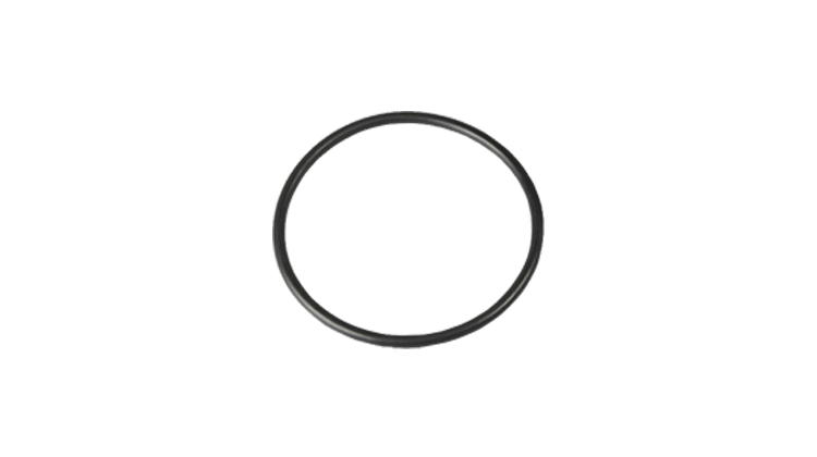 O-RING FILT EUR 55/95